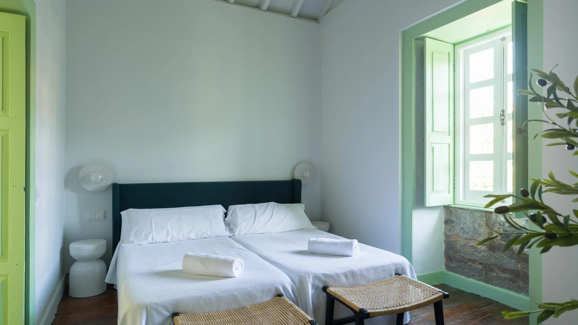 Suite Olivos Santa Brigida  Apartment