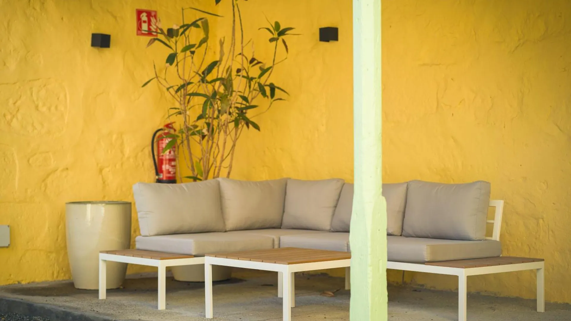 Suite Olivos Santa Brigida  Apartment