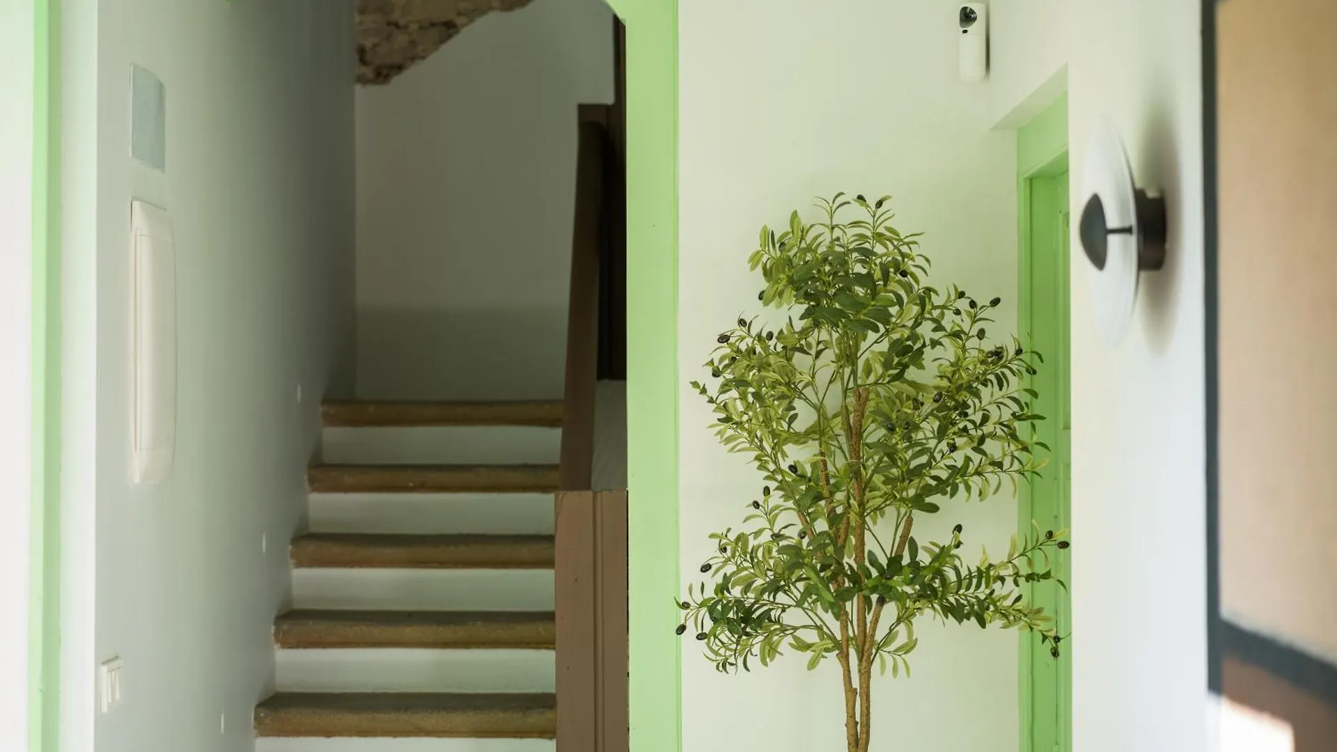 Apartment Suite Olivos Santa Brigida